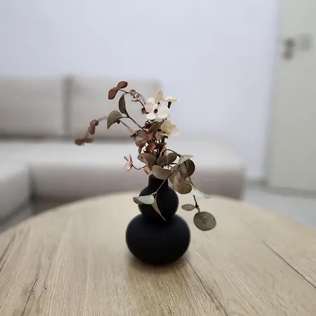 شقة Nevi تيرانا